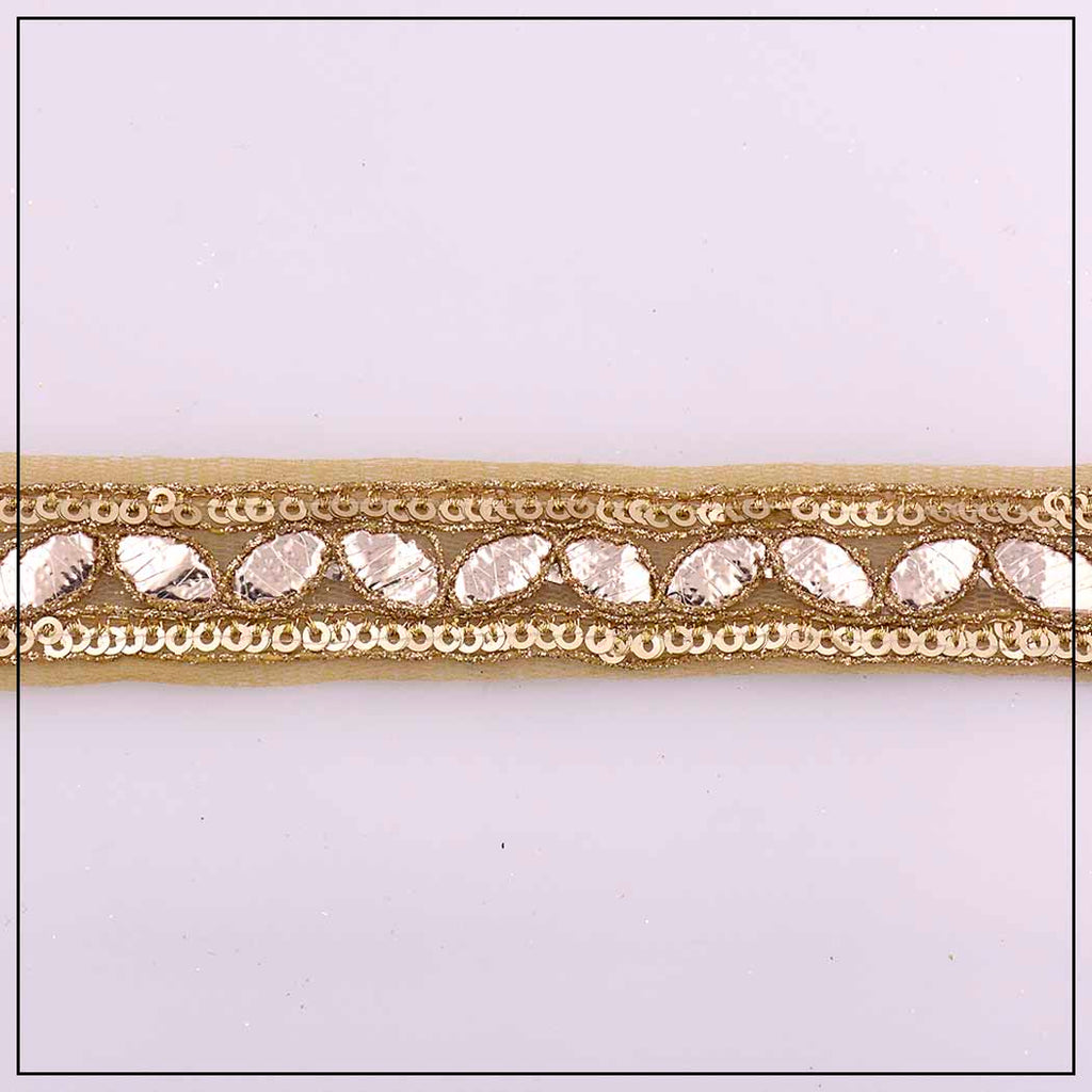 يتوهم تسلسل غوتا الدانتيل