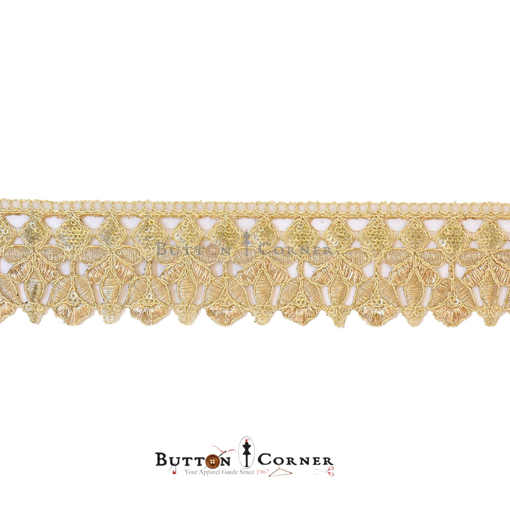 يتوهم تسلسل غوتا الدانتيل