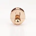 M1172-1 GOLD.webp
