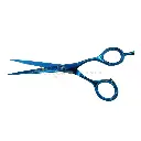 BC-JBS-6-1.webp