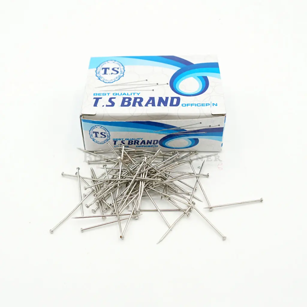 TS PIN-3.webp