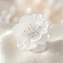 FA698 WHITE (3).webp