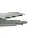 RAITI10L-2.webp
