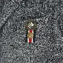 LP52-1.webp