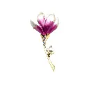 11404 PURPLE.webp