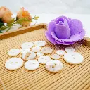 RSR2H (2).webp