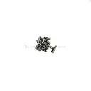 Y827 ANCIENT SILVER.webp