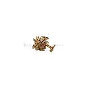 Y827 GOLD.webp