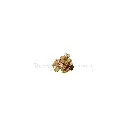 Y827-1 GOLD.webp