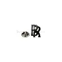 BR PIN-5.webp