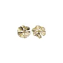 F80101-1 GOLD.webp