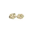F80101-2 GOLD.webp