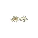 F80017 WHITE MIST.webp