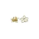 F80021-1 WHITE MIST.webp