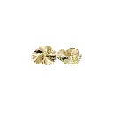 F80099-1 GOLD.webp