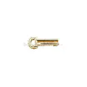 61656-3 GOLD.webp