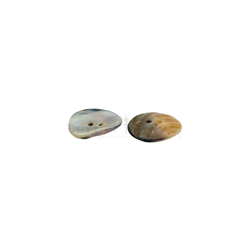 NMSR2H-36L-1.webp