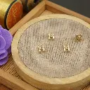 61661-5 GOLD.webp