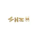 61661 GOLD.webp