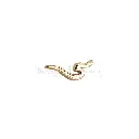 61660-2 GOLD.webp