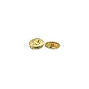 61682-1 LIGHT GOLD MUTE.webp