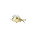 61718-1 Lgt Gold & SIlvery Matt.webp