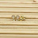 61716 LIGHT GOLD.webp