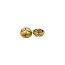 61736-1 ANCIENT GOLD.webp