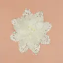HB-865 WHITE (5).webp