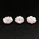 B359 PEARLY WHITE (1).webp