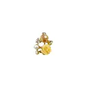 FBLS5265 L C TOPAZ-1.webp