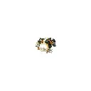 FB240 BLACK GOLD (1).webp