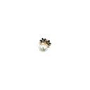 FB241 BLACK GOLD-1.webp