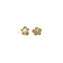 FA411 GOLD-1.webp