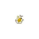 FB231 JONQUIL-1.webp