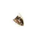FA97 GOLD.webp