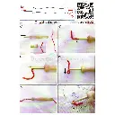 C1004 (2).webp
