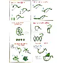 35.webp