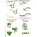 N0033 (2).webp