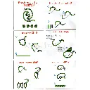N1033 (2).webp