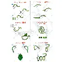 N1082 (3).webp