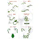 N1106 (2).webp