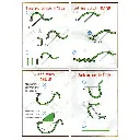 N1107 (2).webp