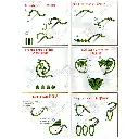 N1113 (2).webp