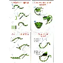 N1118 (2).webp