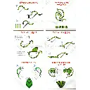 N1122 (1).webp