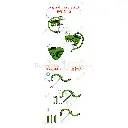 N2012 (3).webp