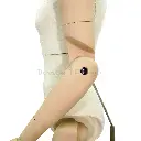 FDMM (11).webp