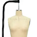 EFCSDL6 (12).webp
