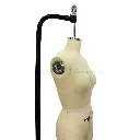 EFCSDL6 (9).webp